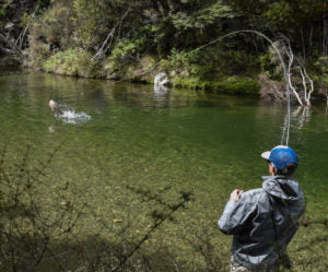 Fly Fishing