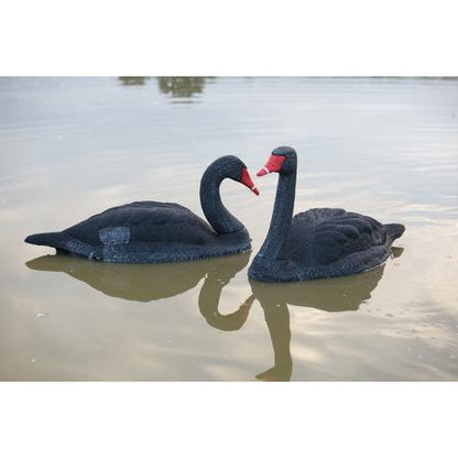 OUTDOOR OUTFITTERS DECOY BLACK SWAN 2PK: 34"