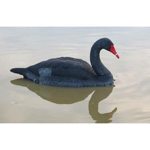 OUTDOOR OUTFITTERS DECOY BLACK SWAN 2PK: 34"
