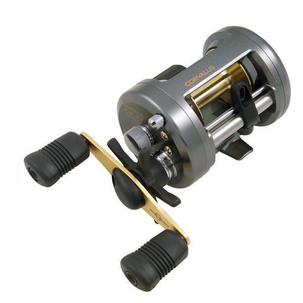 ALL Tagged Reels - Southern Wild